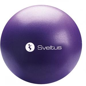 0423-1-educational-ball-sveltus-purple-one-size